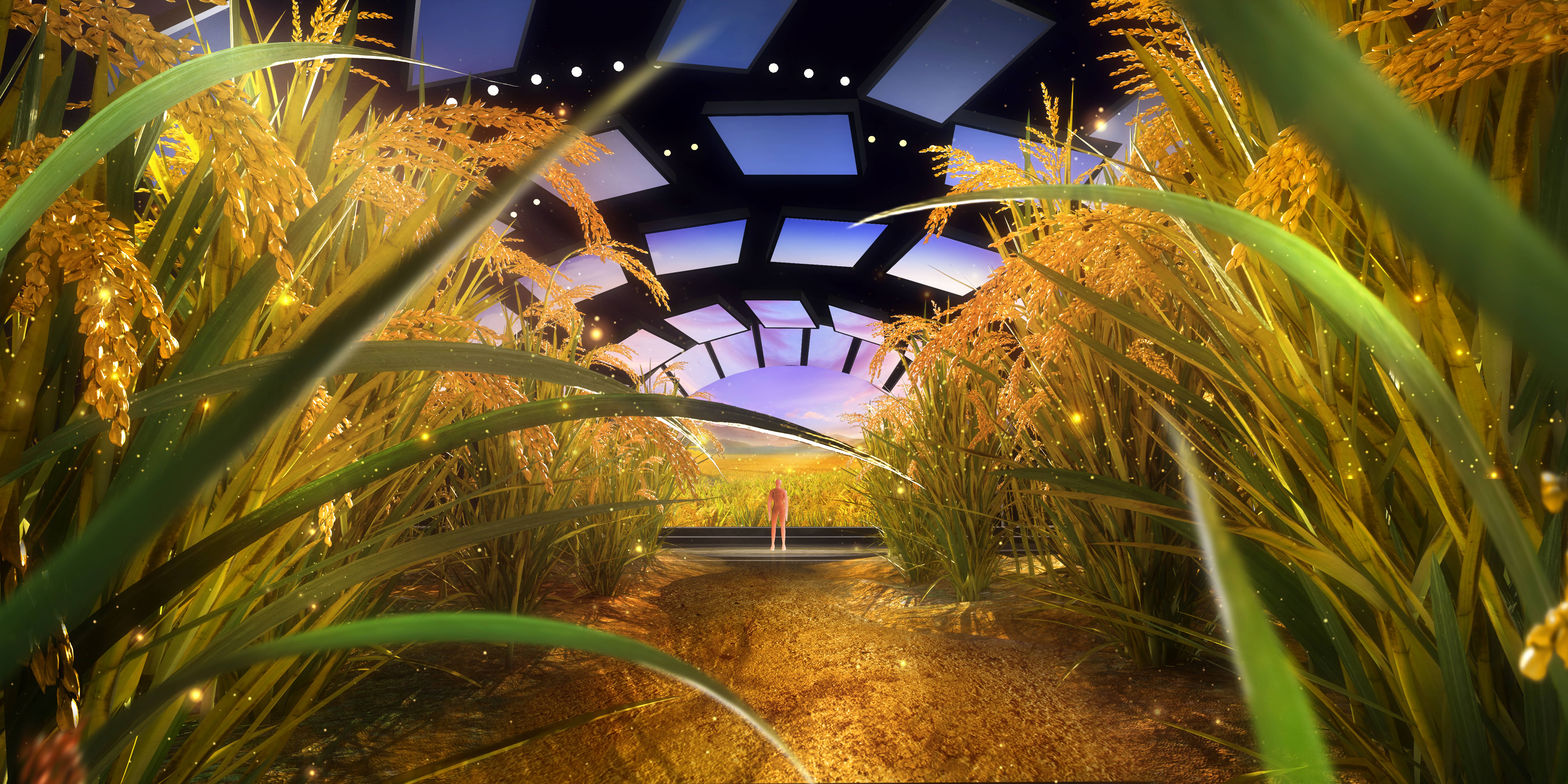 我有一个梦-舞美9-tuya